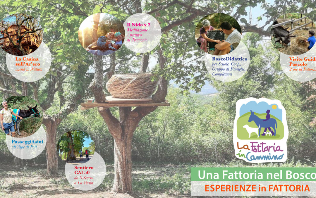 Tutte le Esperienze in Fattoria Primavera\Estate 2023