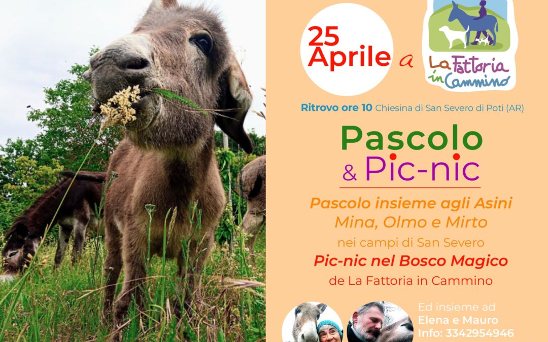 25 Aprile con noi 🦄