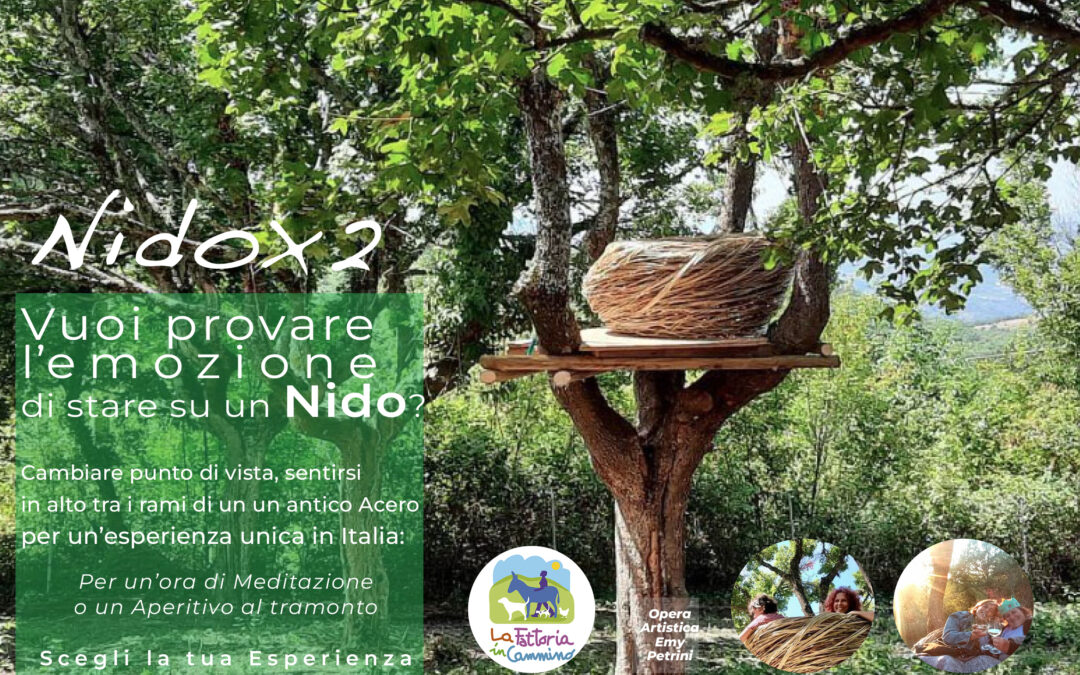 Visita in Fattoria + Aperitivo al tramonto nel Nidox2