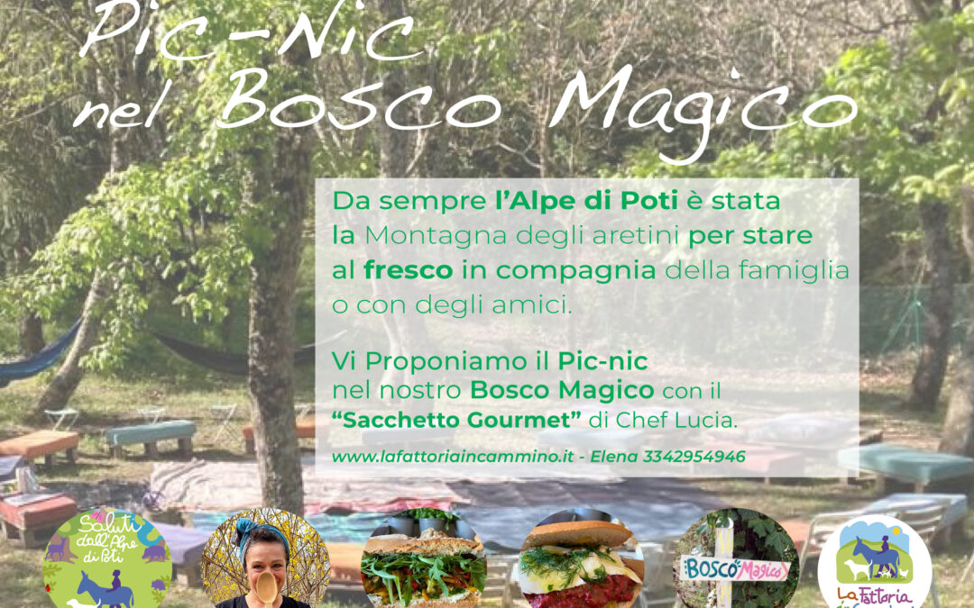 Per tutta l’Estate: Visita in Fattoria + Pic-Nic nel Bosco Magico o Aperitivo al tramonto nel Nidox2