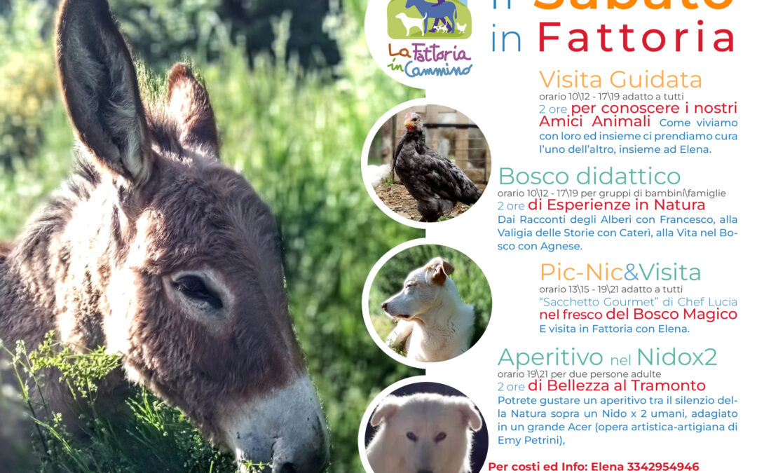 Il Sabato in Fattoria