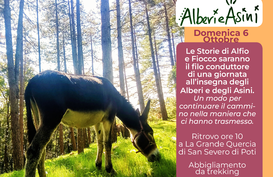 Alberi🌳 e Asini🐴