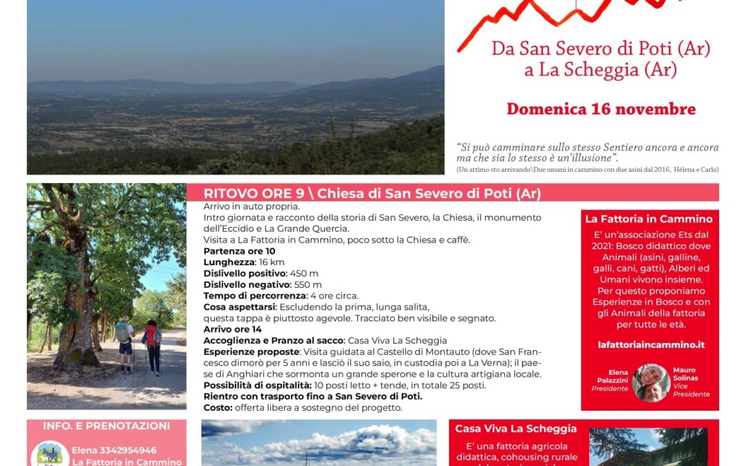 SENTIERO CAI 50-Nuove Esperienze nelle Alpi aretine