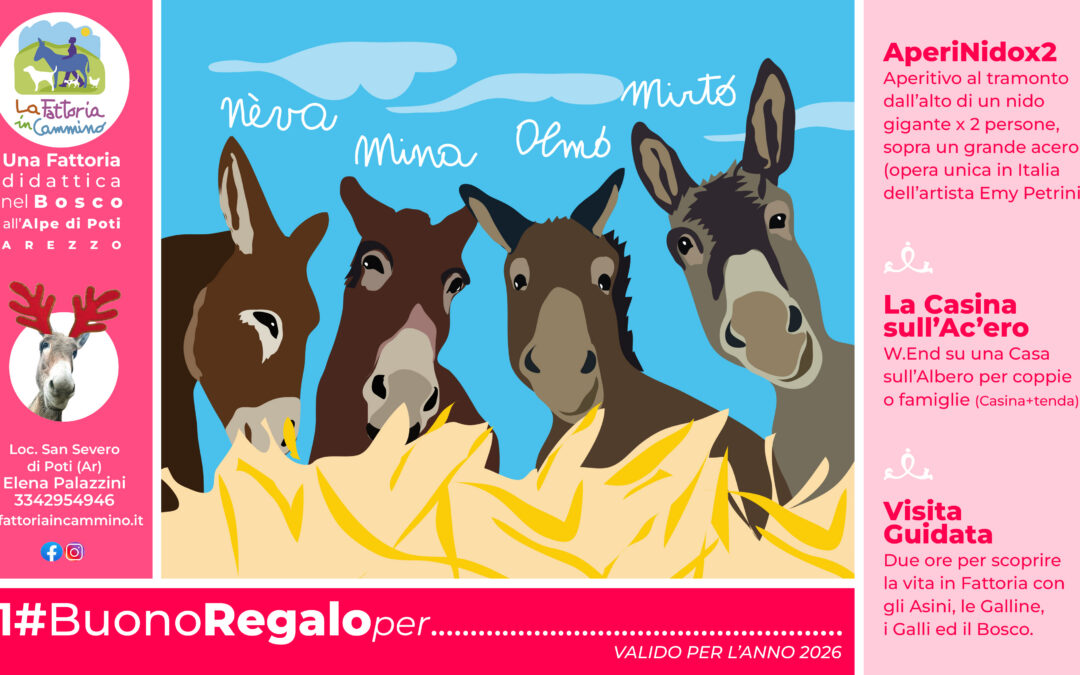 BUONORegalo Natale 2025